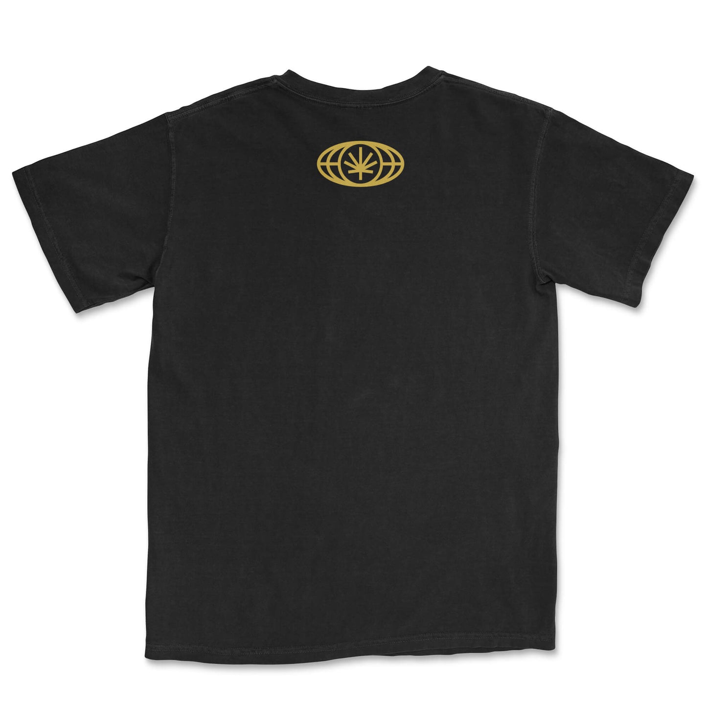 Black tee lay-flat; small VYLIN globe icon centered below back neckline
